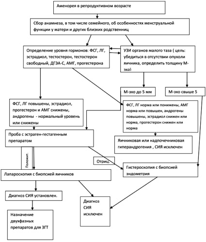 Аменорея план обследования