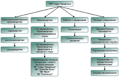 Межрегиональные интеграции. Организационная структура сады Придонья. Организационная структура управления сады Придонья. Организационная структура предприятия садов Придонья. Структура организации.