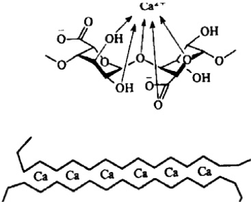 Графическая схема кальция