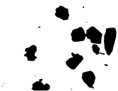 tatov4b.tif