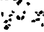 tatov5b.tif