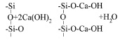 skrip1F.tif