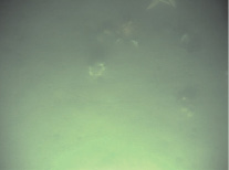 pic_68.tif
