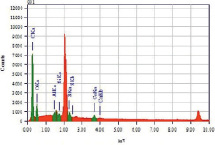 jstr4b.tif