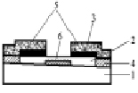 rodion2a.tif