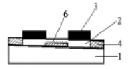 rodion2b.tif