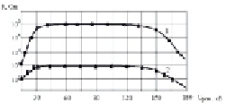rodion4.tif