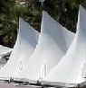 kudr1a.tif