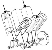 berdn3a.tif