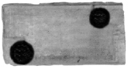 jzv4.tif