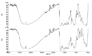 isup1.tif