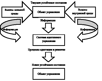 Эпидемический процесс и меры воздействия схема