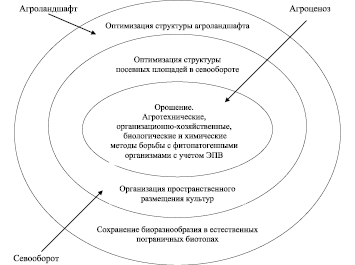 komar1.wmf